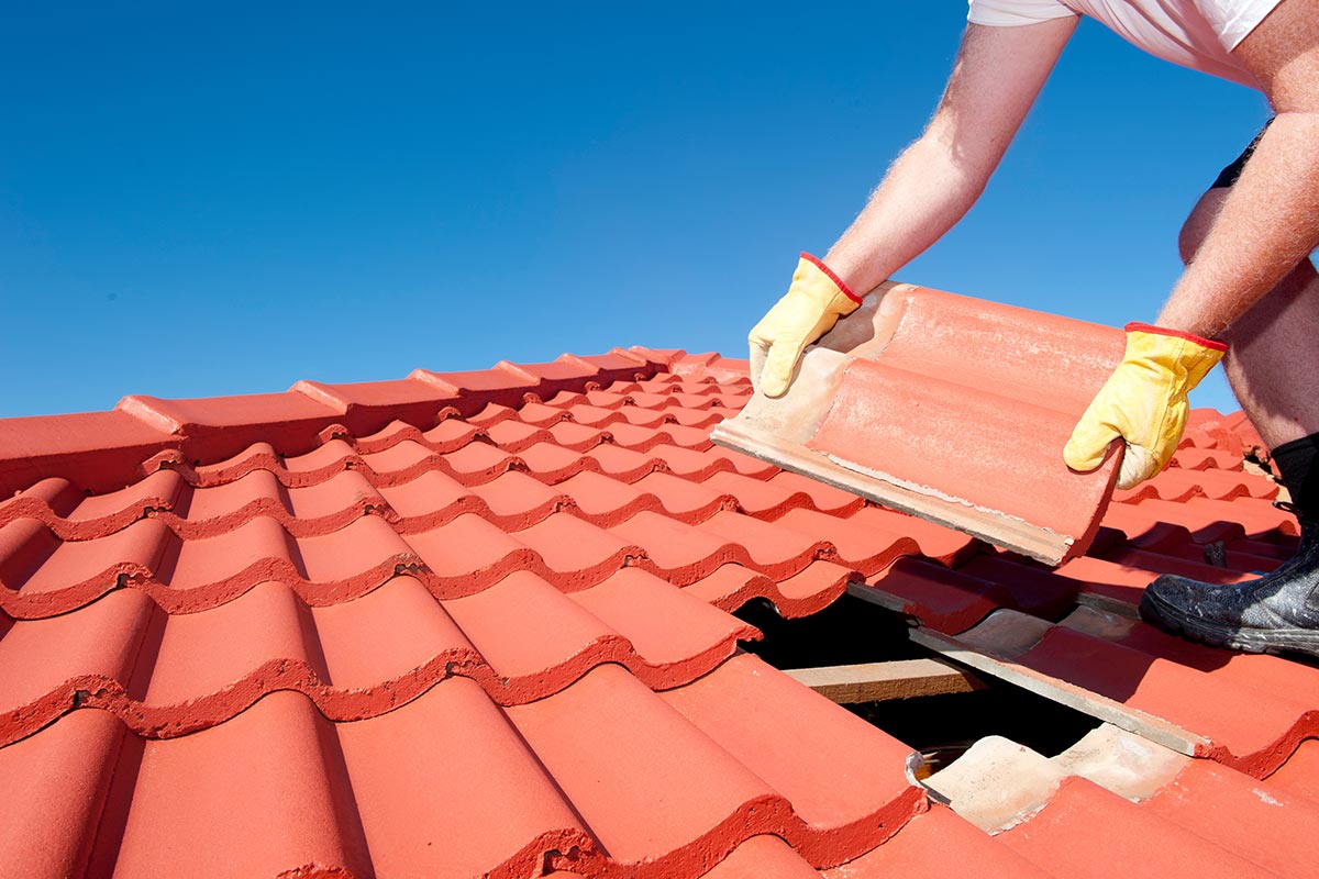 roof tiles